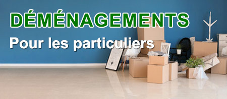 demenagement pour les particuliers